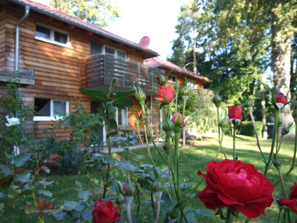 Fewos Am Kleinen Meer Waren  Exterior foto